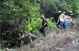 Cán bộ bảo vệ rừng bị hành hung
