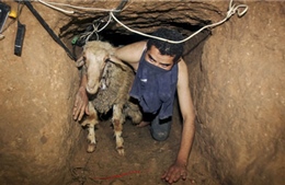 Ai Cập phá hủy 60 đường hầm dọc biên giới Gaza 