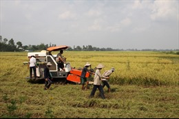 Tăng tốc tái cơ cấu ngành nông nghiệp ĐBSCLTháo “nút thắt” về vốn
