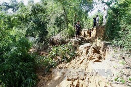 Sạt lở núi, một thôn ở Bình Định bị cô lập 