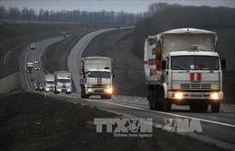 Nga chuyển hơn 10.700 tấn hàng hóa cho miền Đông Ukraine 