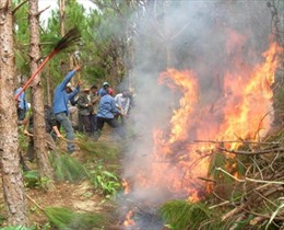 Bắc Giang: Liên tiếp cháy rừng ở huyện Yên Dũng 