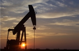 OPEC chưa có ý định can thiệp để hỗ trợ giá dầu 
