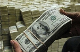 Nga đủ dự trữ ngoại tệ và công cụ để ổn định thị trường ngoại tệ 