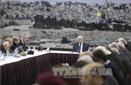 Palestine trình LHQ dự thảo nghị quyết chấm dứt sự chiếm đóng của Israel
