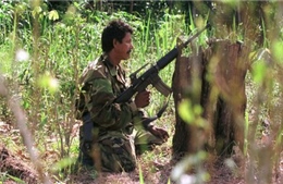 Colombia: FARC tuyên bố đơn phương ngừng bắn 