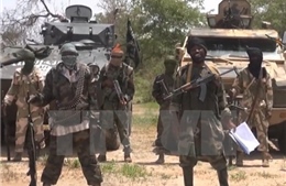 Cameroon tiêu diệt hơn 100 tay súng Boko Haram