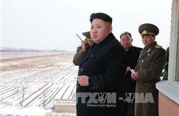 Đại hội đồng LHQ kêu gọi đưa Triều Tiên ra Toà hình sự