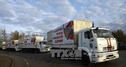 Nga đưa thêm xe viện trợ tới Đông Ukraine