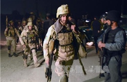 Afghanistan truy quét phiến quân tại biên giới Pakistan