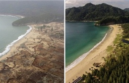 Nhìn lại 10 năm thảm họa sóng thần Ấn Độ Dương