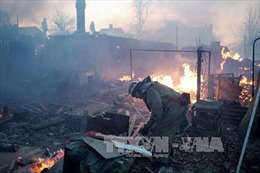 Donbass tố cáo Ukraine vi phạm lệnh ngừng bắn 
