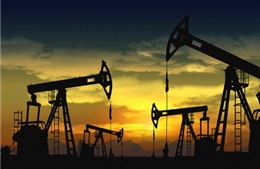 Giá dầu mỏ tăng nhẹ do kinh tế Mỹ tăng trưởng cao hơn dự báo 