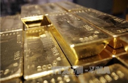 Dự trữ vàng của Nga đạt đỉnh trong 20 năm 
