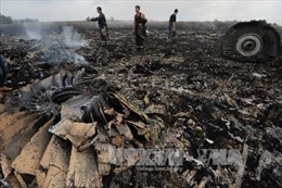 Khả năng Cơ quan An ninh Ukraine dính líu tới vụ MH-17