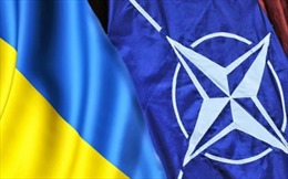 Ukraine phải mất thời gian dài để gia nhập NATO 