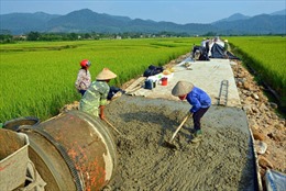 Xã đạo Việt Tiến xây dựng nông thôn mới     