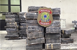 Brazil tịch thu 8 tấn cần sa được tuồn vào từ Paraguay
