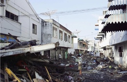 Thảm họa sóng thần tại Ấn Độ Dương: 10 năm nhìn lại