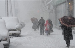 Moskva tê liệt trong bão tuyết