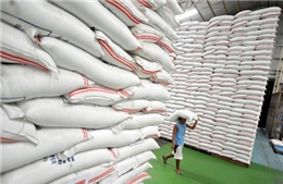 Thái Lan tiếp tục "xả bán" 247.000 tấn gạo