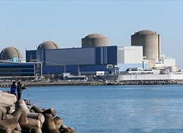 Hàn Quốc cảnh giác trước nguy cơ tin tặc tấn công nhà máy điện hạt nhân 