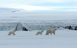 Nga kêu gọi không gây xung đột ở Bắc Cực 