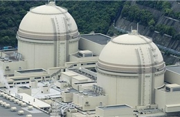 Hàn Quốc ngừng thi công 2 lò phản ứng hạt nhân