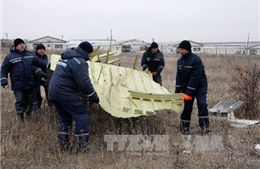Lãnh đạo Donetsk: ‘Tôi tận mắt thấy Su-25 bắn hạ MH-17’