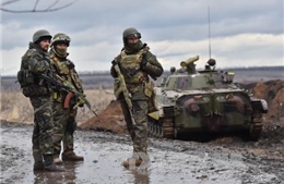 Sớm ký thỏa thuận ngừng bắn hoàn toàn tại Donetsk