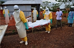 Số người thiệt mạng do Ebola có xu hướng tăng 