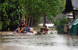 Số người thiệt mạng do bão Jangmi tại Philippines tăng cao 