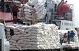 Xuất khẩu gạo của Campuchia tăng "khiêm tốn"