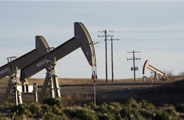 Giá dầu tăng trong phiên giao dịch đầu tiên của năm 2015