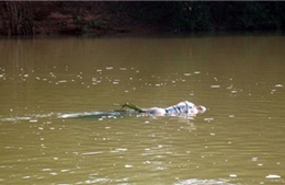 Một xác chết bị thả trôi sông trong bao tải