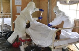 LHQ: Thành công của cuộc chiến chống Ebola "trong tầm tay" 