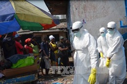 WHO: 8.235 người đã tử vong vì Ebola