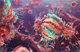 Tìm ra cách ức chế khả năng tái sinh của virus HIV 