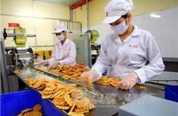 Kinh tế Việt Nam sẽ tiếp tục phục hồi trong 2015 