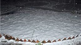 Tuyết rơi trong đêm phủ trắng Trạm Tôn, Sa Pa