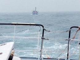 Lai dắt tàu chở khách gặp sự cố về đảo Phú Quý 