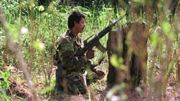 FARC cảnh báo hủy bỏ ngừng bắn đơn phương 