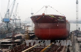 Vinalines sẽ IPO ngay trong quý I/2015