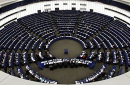 Nghị viện châu Âu thông qua Nghị quyết tăng cấm vận Nga