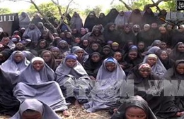Boko Haram bắt cóc 80 người ở Cameroon