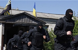 Chiến sự Donetsk là do quân tiễu phạt bất tuân Kiev