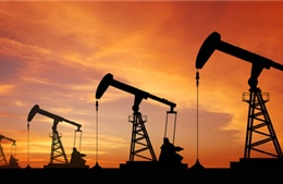 Giá dầu tiếp tục sụt giảm