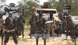 Boko Haram phóng thích 192 con tin