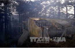 Hỏa hoạn tại Viện nghiên cứu khoa học Tây Nguyên 