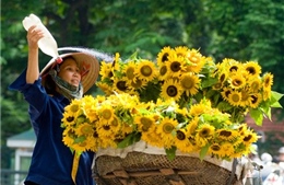 Bắc -Trung - Nam duy trì nắng ráo 